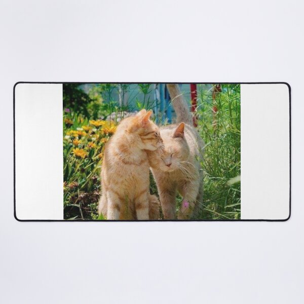 Item preview, Two Loving Cats in a Sunny Garden – Heartwarming Feline Friendship | Cute Nature Cat Wall Art designed and sold by Jesus-istheway.