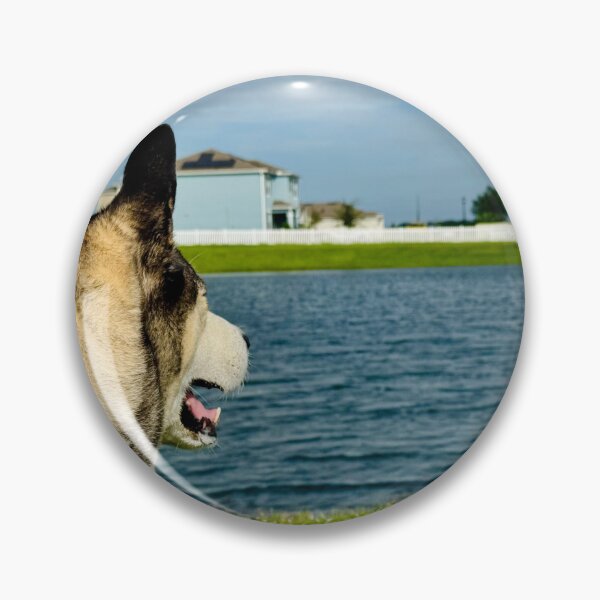 Item preview, Florida Paws - Husky Watching the Water - Peaceful Lakeside Pose. designed and sold by QuietBloomDHS.