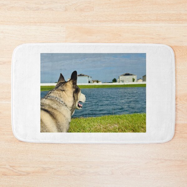 Item preview, Florida Paws - Husky Watching the Water - Peaceful Lakeside Pose. designed and sold by QuietBloomDHS.