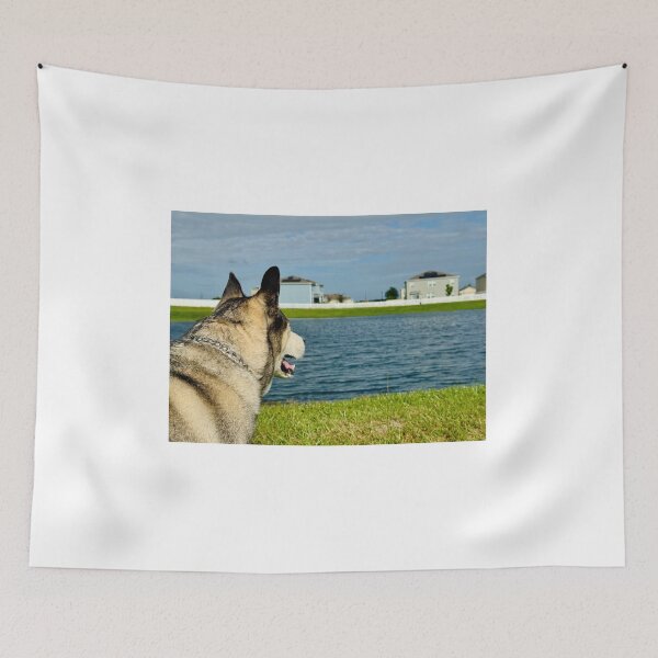 Item preview, Florida Paws - Husky Watching the Water - Peaceful Lakeside Pose. designed and sold by QuietBloomDHS.