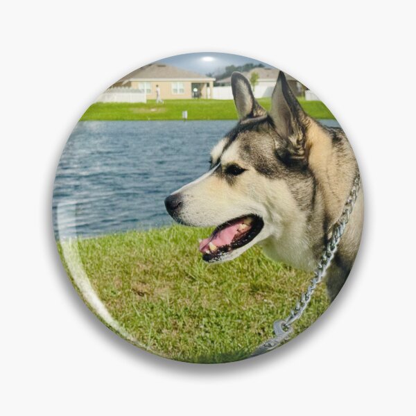 Item preview, Florida Paws - Husky on Leash by the Water - Serene Side Profile. designed and sold by QuietBloomDHS.