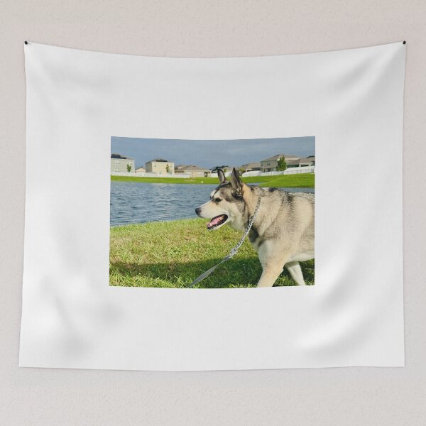Item preview, Florida Paws - Husky on Leash by the Water - Serene Side Profile. designed and sold by QuietBloomDHS.