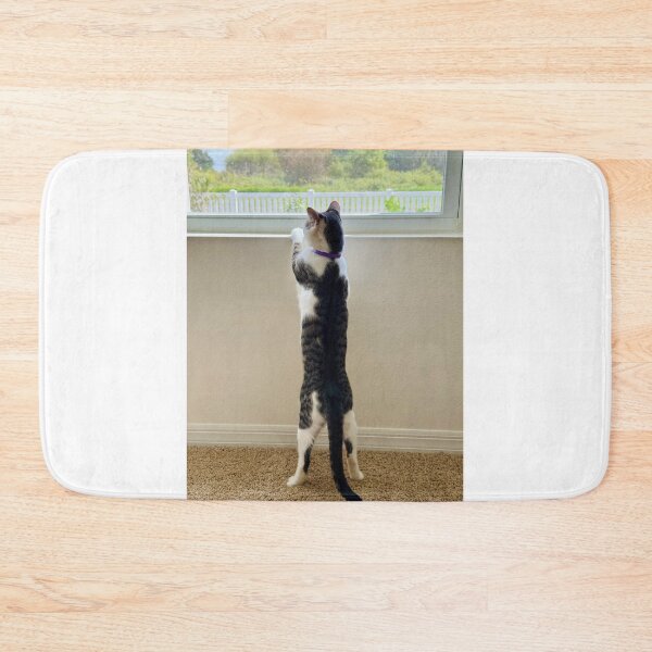 Item preview, Florida Paws - Curious Cat Standing at Window - Indoor Explorer. designed and sold by QuietBloomDHS.