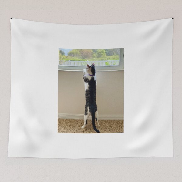 Item preview, Florida Paws - Curious Cat Standing at Window - Indoor Explorer. designed and sold by QuietBloomDHS.