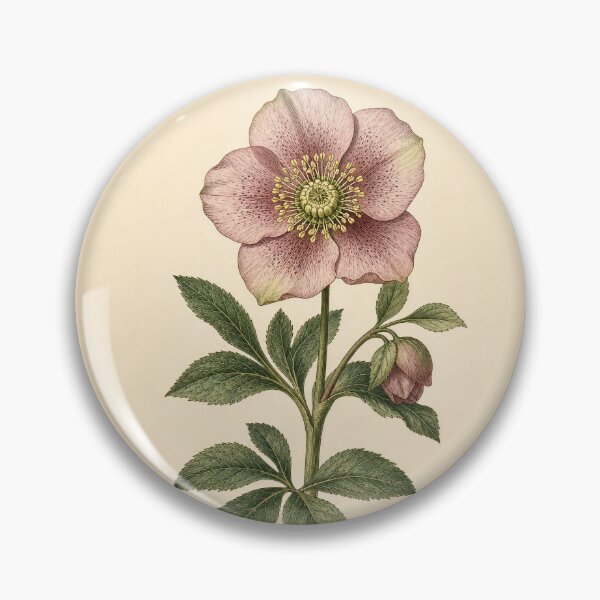 Item preview, Vintage Hellebore Botanical Illustration designed and sold by NuvoraNest.