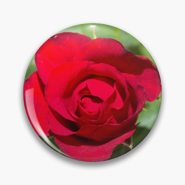 Item preview, Red Rose Bloom Photography – Romantic Floral Wall Art, Botanical Nature Print designed and sold by Bure-NS.