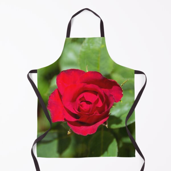 Item preview, Red Rose Bloom Photography – Romantic Floral Wall Art, Botanical Nature Print designed and sold by Bure-NS.