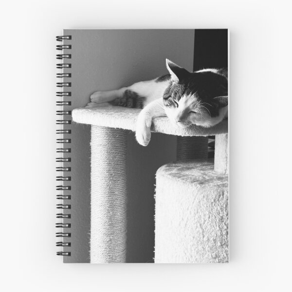 Item preview, Florida Paws - Relaxed Cat Lounging on Cat Tree - Content Siesta. designed and sold by QuietBloomDHS.