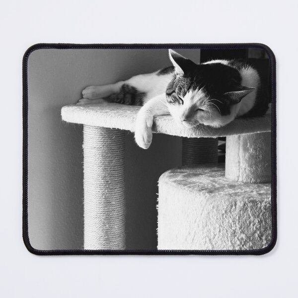 Item preview, Florida Paws - Relaxed Cat Lounging on Cat Tree - Content Siesta. designed and sold by QuietBloomDHS.
