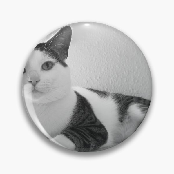 Item preview, Florida Paws - Peaceful Black and White Cat on Shelf - Calm Rest designed and sold by QuietBloomDHS.