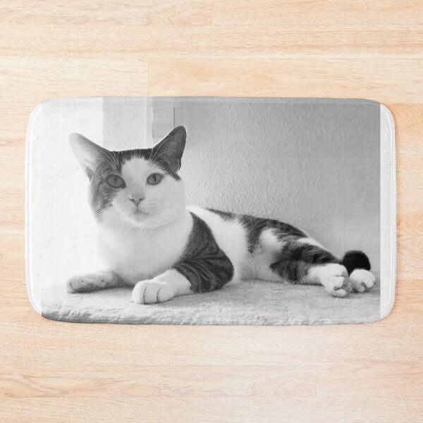 Item preview, Florida Paws - Peaceful Black and White Cat on Shelf - Calm Rest designed and sold by QuietBloomDHS.