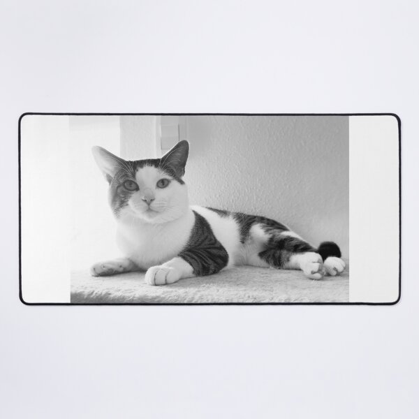 Item preview, Florida Paws - Peaceful Black and White Cat on Shelf - Calm Rest designed and sold by QuietBloomDHS.