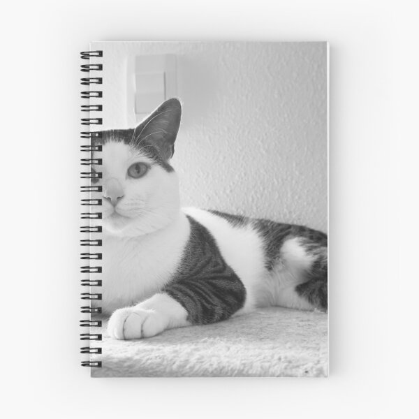Item preview, Florida Paws - Peaceful Black and White Cat on Shelf - Calm Rest designed and sold by QuietBloomDHS.
