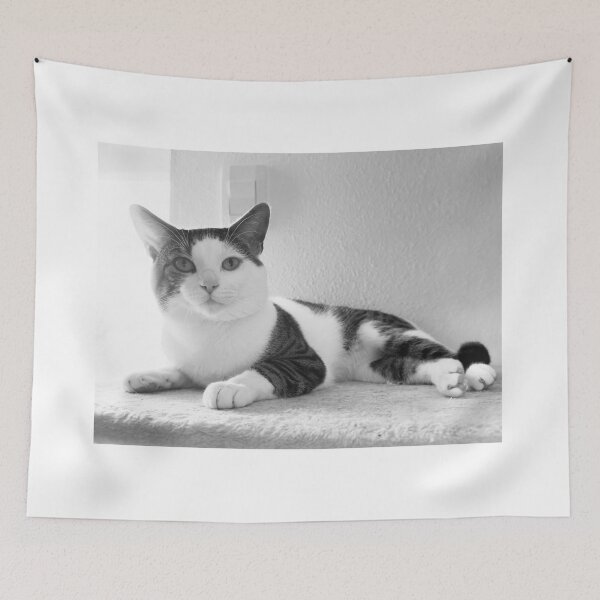 Item preview, Florida Paws - Peaceful Black and White Cat on Shelf - Calm Rest designed and sold by QuietBloomDHS.