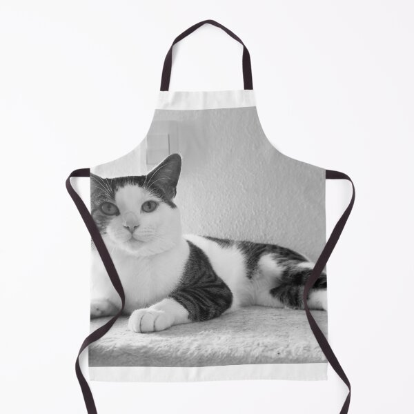 Item preview, Florida Paws - Peaceful Black and White Cat on Shelf - Calm Rest designed and sold by QuietBloomDHS.