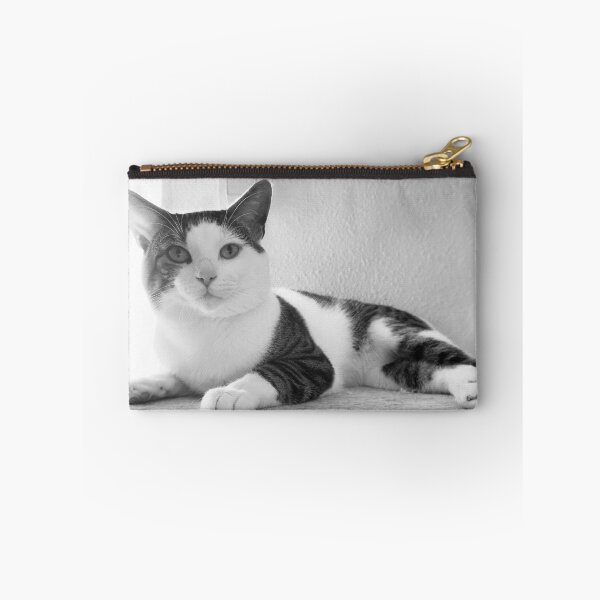 Item preview, Florida Paws - Peaceful Black and White Cat on Shelf - Calm Rest designed and sold by QuietBloomDHS.