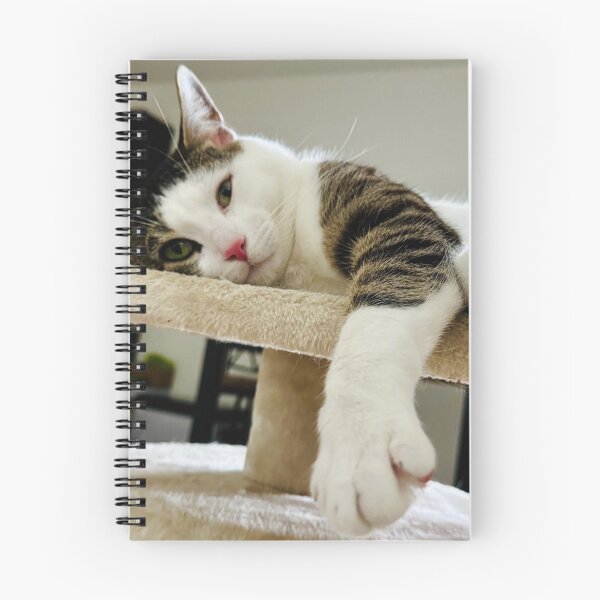 Item preview, Florida Paws - Cozy Cat on Bed - Dreamy Indoor Portrait. designed and sold by QuietBloomDHS.