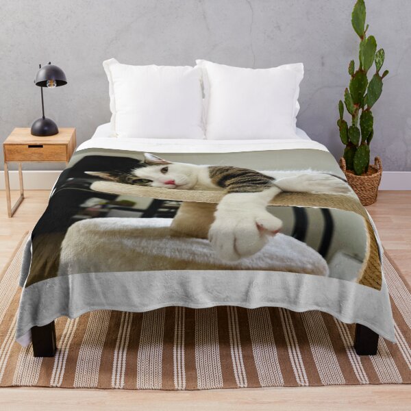 Item preview, Florida Paws - Cozy Cat on Bed - Dreamy Indoor Portrait. designed and sold by QuietBloomDHS.