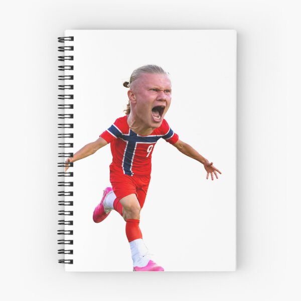 Item preview, Haaland Viking Footballer designed and sold by BlockyBeasts.