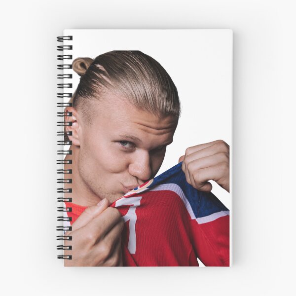 Item preview, Haaland Viking Footballer designed and sold by BlockyBeasts.
