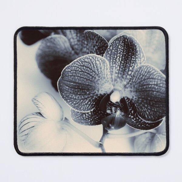 Item preview, Sweetness designed and sold by Debra Cox.