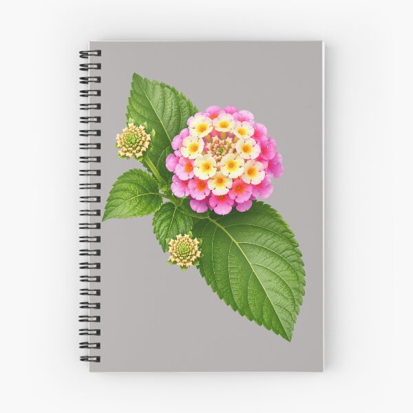 Item preview, Colorful Pink and Yellow Lantana Flower Botanical Design designed and sold by Nawi32.
