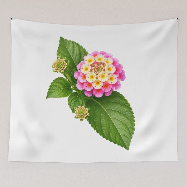 Item preview, Colorful Pink and Yellow Lantana Flower Botanical Design designed and sold by Nawi32.