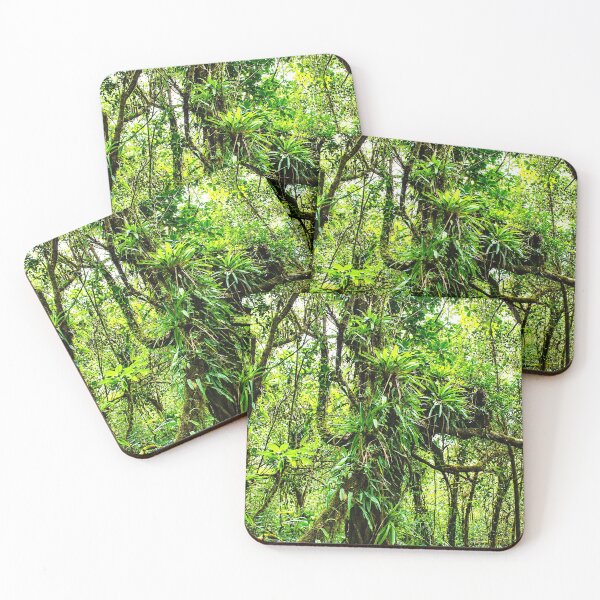 Item preview, Ancient Tropical Tree In the Cloud Forest of El Yunque Rainforest - Puerto Rico designed and sold by www.elyunqueprints.store.