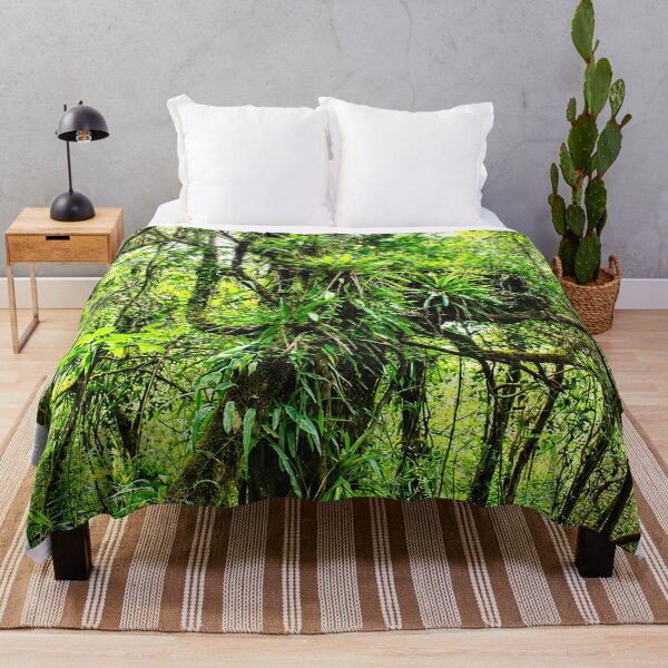 Item preview, Ancient Tropical Tree In the Cloud Forest of El Yunque Rainforest - Puerto Rico designed and sold by www.elyunqueprints.store.