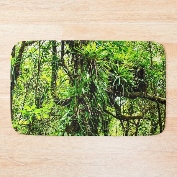 Item preview, Ancient Tropical Tree In the Cloud Forest of El Yunque Rainforest - Puerto Rico designed and sold by www.elyunqueprints.store.