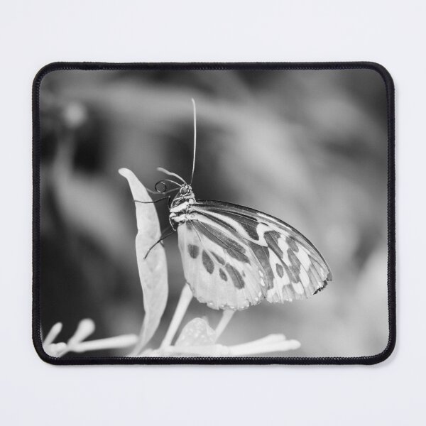 Item preview, Contemplation designed and sold by Debra Cox.