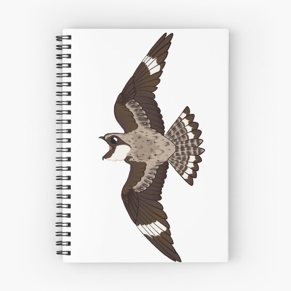 Item preview, Common Nighthawk designed and sold by PoisonHoney.