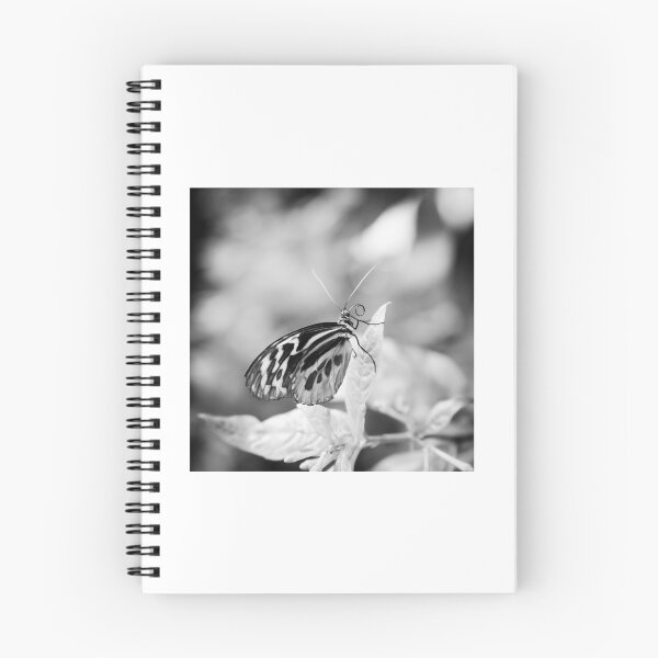 Item preview, Reflecting designed and sold by Debra Cox.