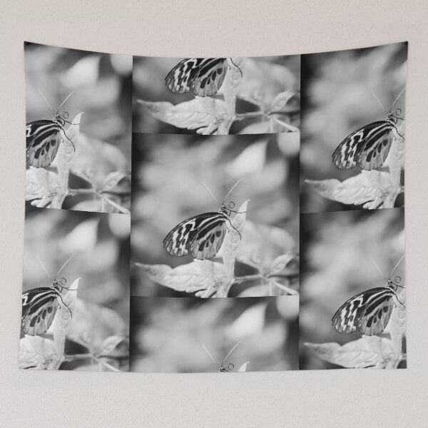 Item preview, Reflecting designed and sold by Debra Cox.
