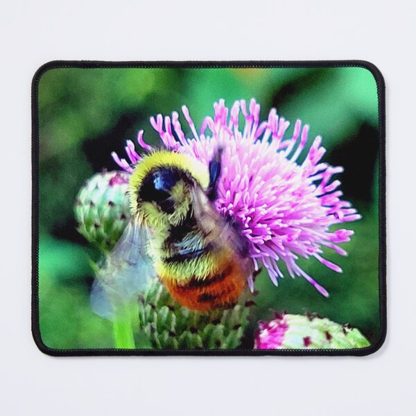 Item preview, Vivid Bee designed and sold by Pastel-Ricky.
