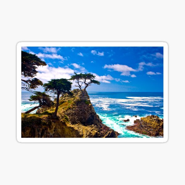 Item preview, Monterey Lone Cypress designed and sold by photosbyflood.