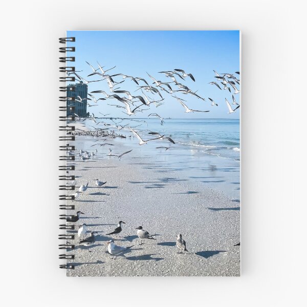Item preview, Seagulls Soaring Over Beachfront designed and sold by Craig Bernstein.