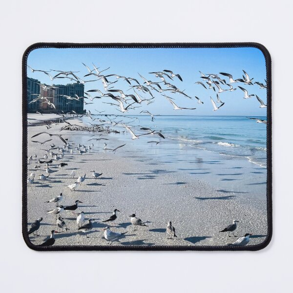 Item preview, Seagulls Soaring Over Beachfront designed and sold by Craig Bernstein.