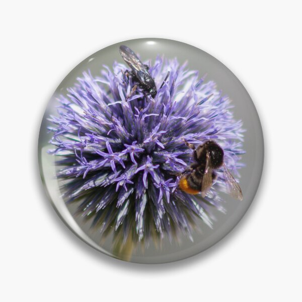 Item preview, The scoliosis and the bumblebee designed and sold by laferte77.