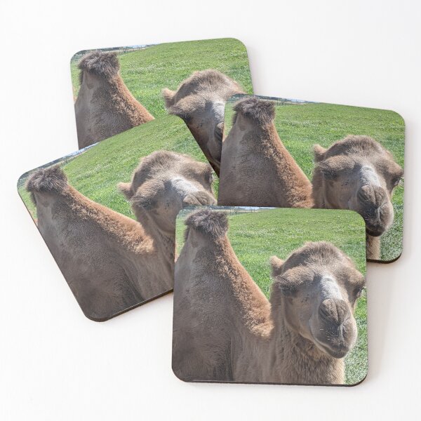 Item preview, Zoo designed and sold by CarrieMcDadeCreations.