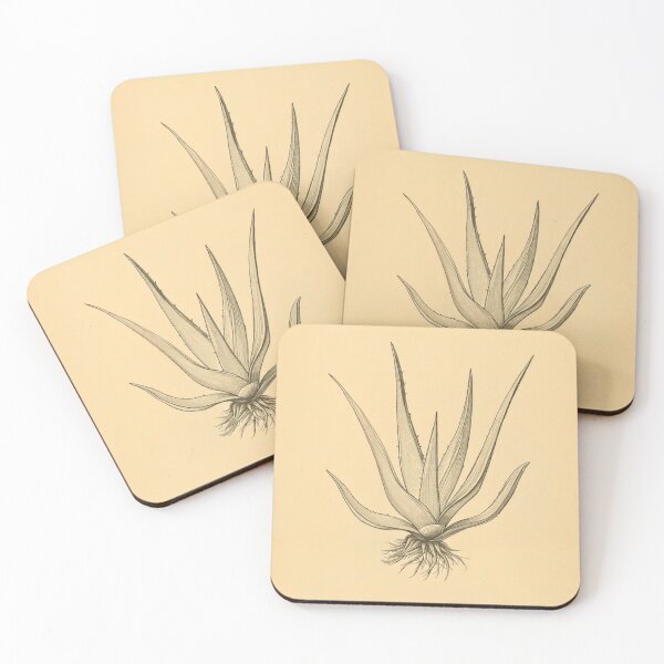 Item preview, Aloe Vera Botanical Line Art designed and sold by The-Botanica.