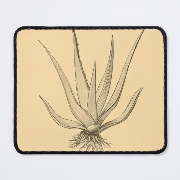 Item preview, Aloe Vera Botanical Line Art designed and sold by The-Botanica.
