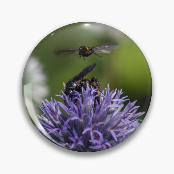 Item preview, The hairy scoliid wasp and the black bee designed and sold by laferte77.