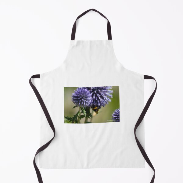 Aperçu de l'œuvre Le bourdon et l'Echinops créée et vendue par laferte77.