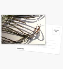 Featherflow Postcards