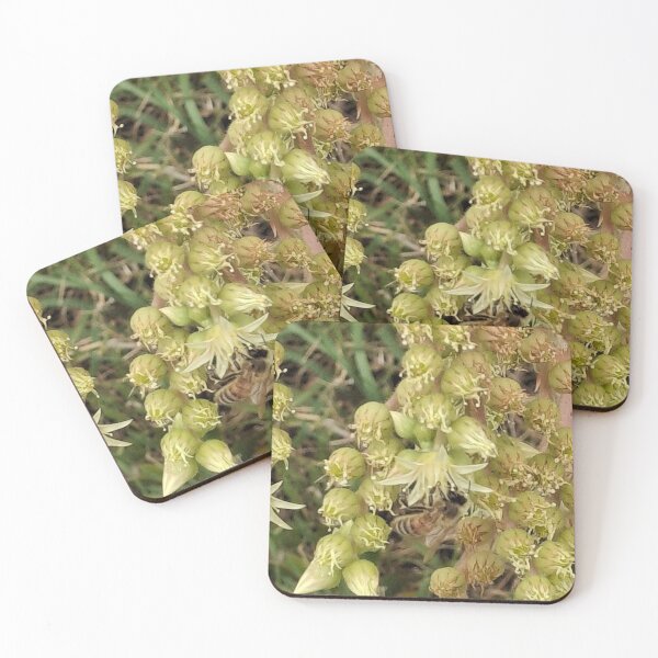 Item preview, Succulent flower with bee designed and sold by FABric Photos.
