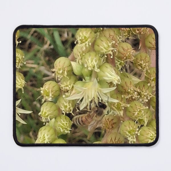 Item preview, Succulent flower with bee designed and sold by FABric Photos.