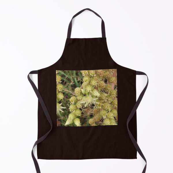 Item preview, Succulent flower with bee designed and sold by FABric Photos.