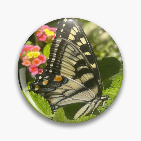 Item preview, Butterfly photograph  designed and sold by Rachel the Artist .