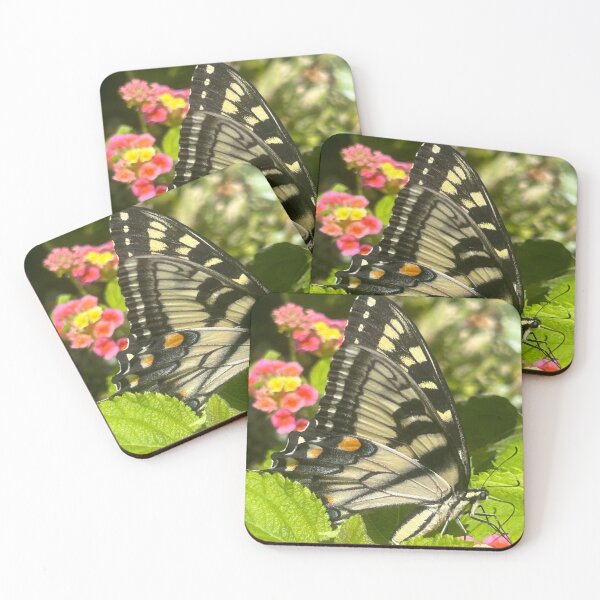 Item preview, Butterfly photograph  designed and sold by Rachel the Artist .